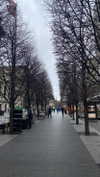 federica.piccinni Altpins Profile Picture