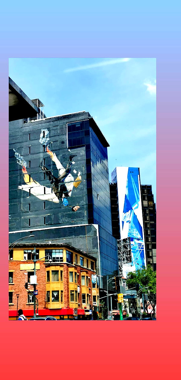 shulunc instagram image archive image