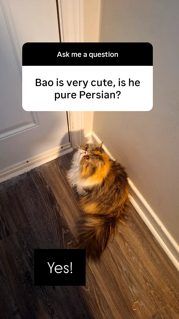 mirekyarahire instagram image archive image