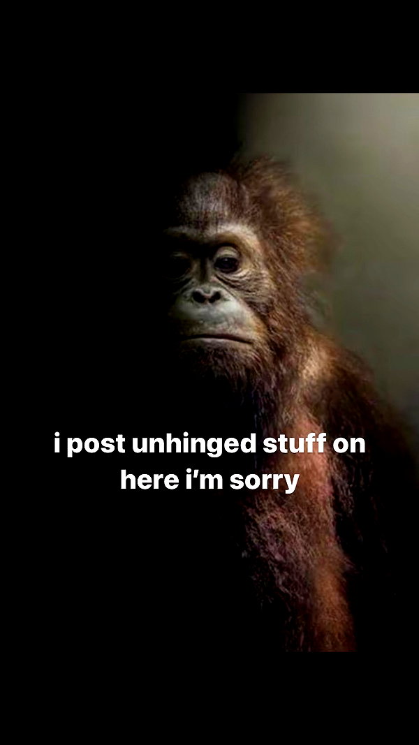 l1amsii instagram image archive image