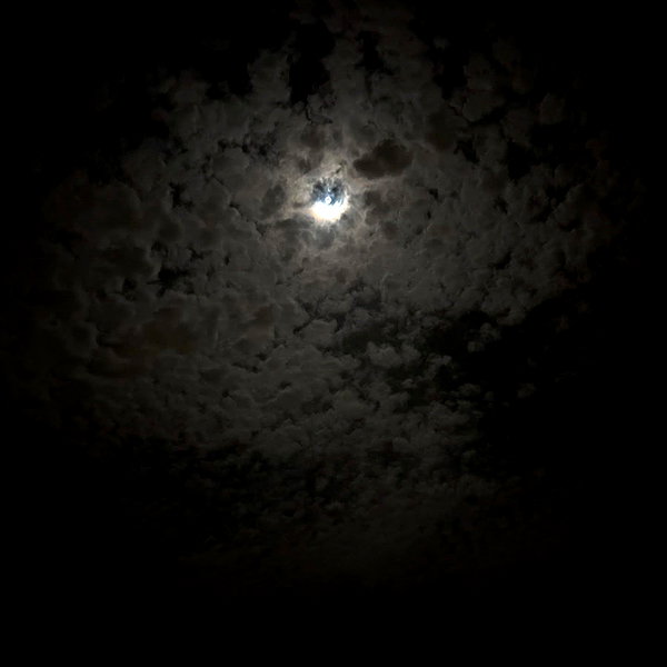 ayash.hila instagram image archive image