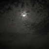 ayash.hila Altpins Profile Picture