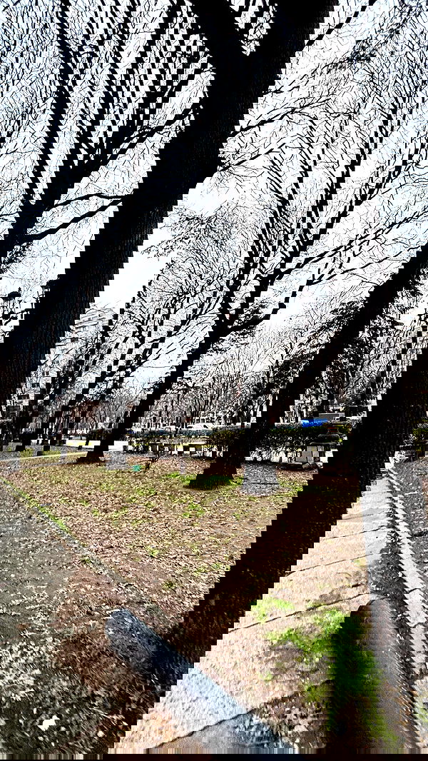 lilllush lilllush archive image