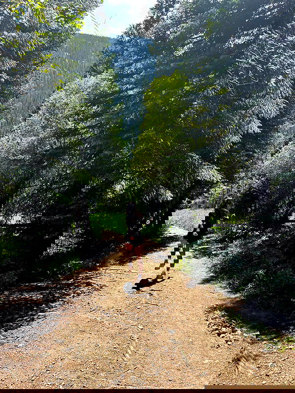 thelizzyporter thelizzyporter archive image