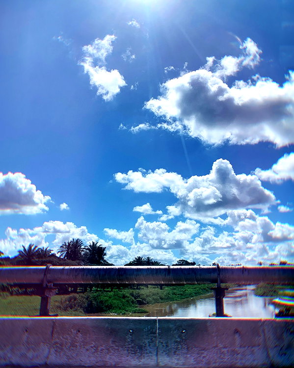jadelaverne instagram image archive image