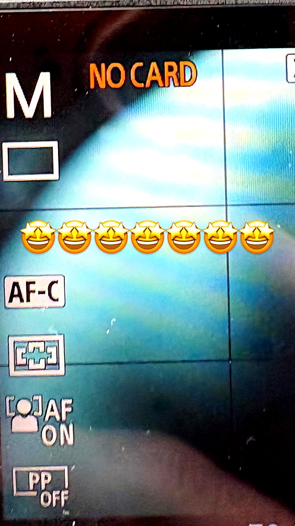 laluzone instagram image archive image