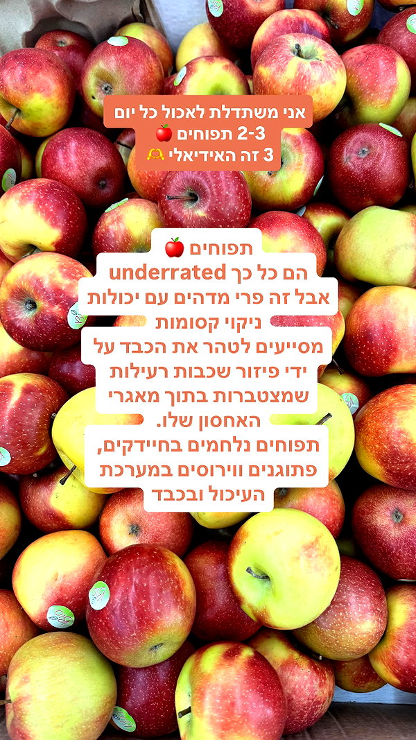 lital.oss instagram image archive image