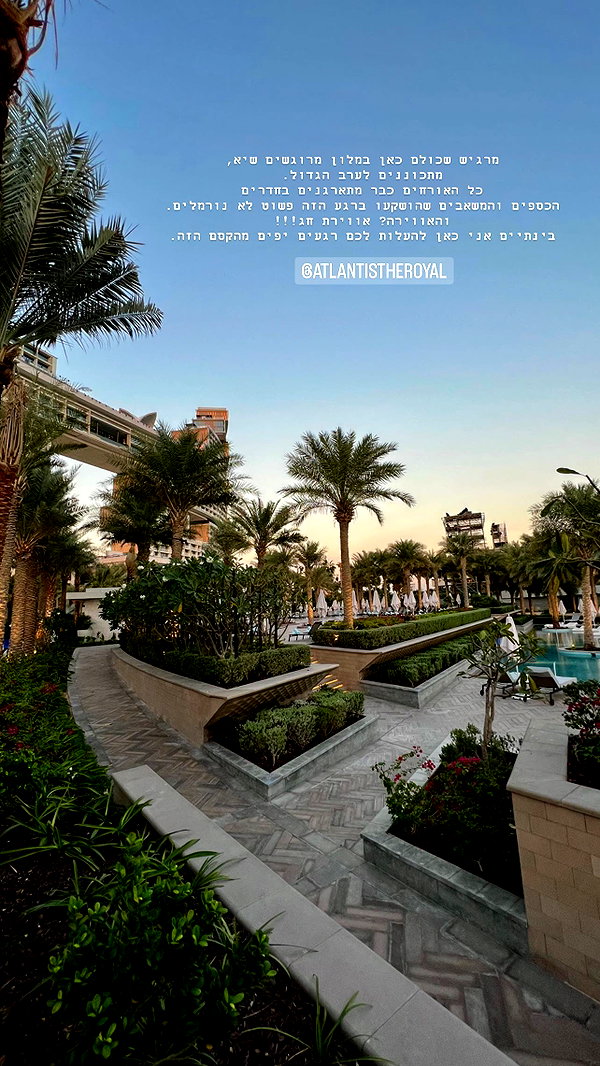 barzomer instagram image archive image