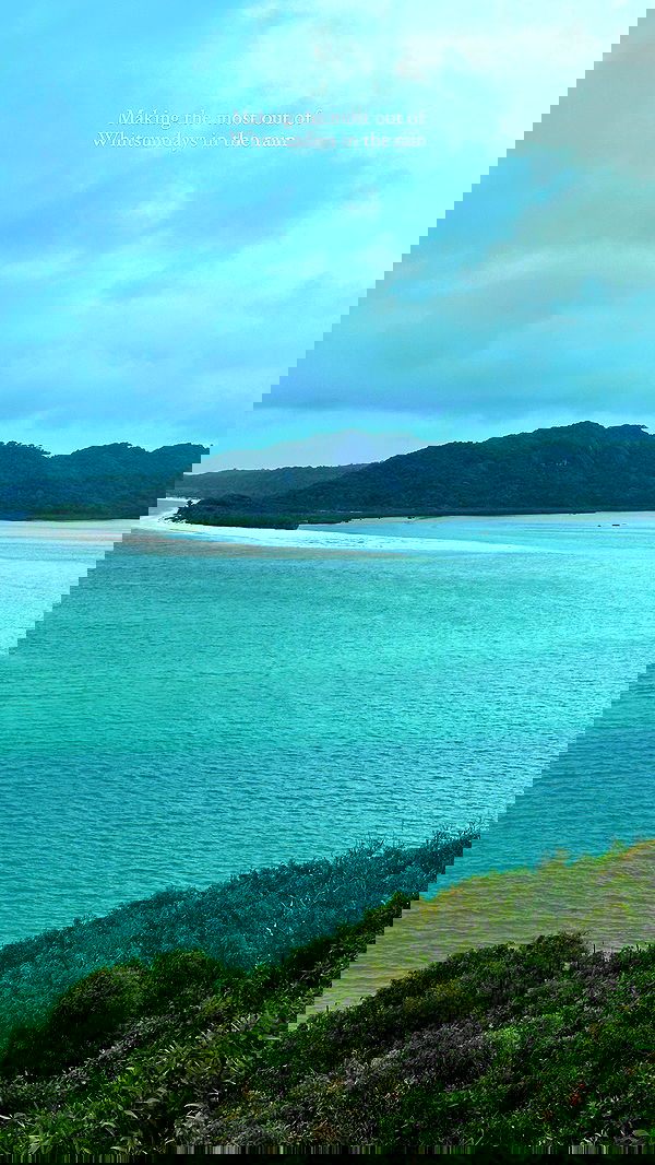 taylor.creeden taylor.creeden archive image