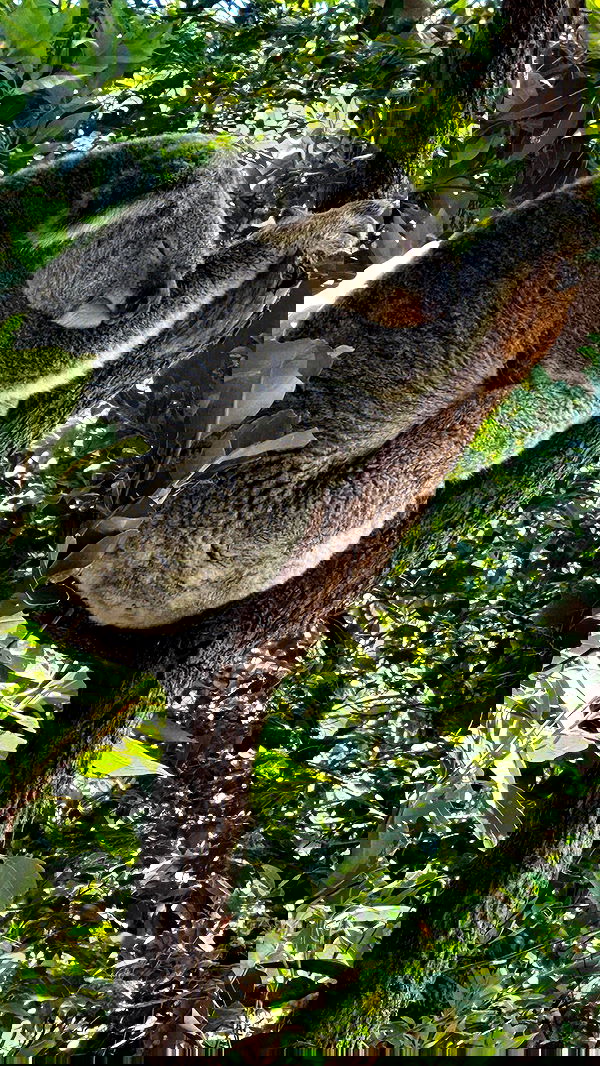 taylor.creeden taylor.creeden archive image