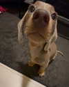 borkwsmh Altpins Profile Picture