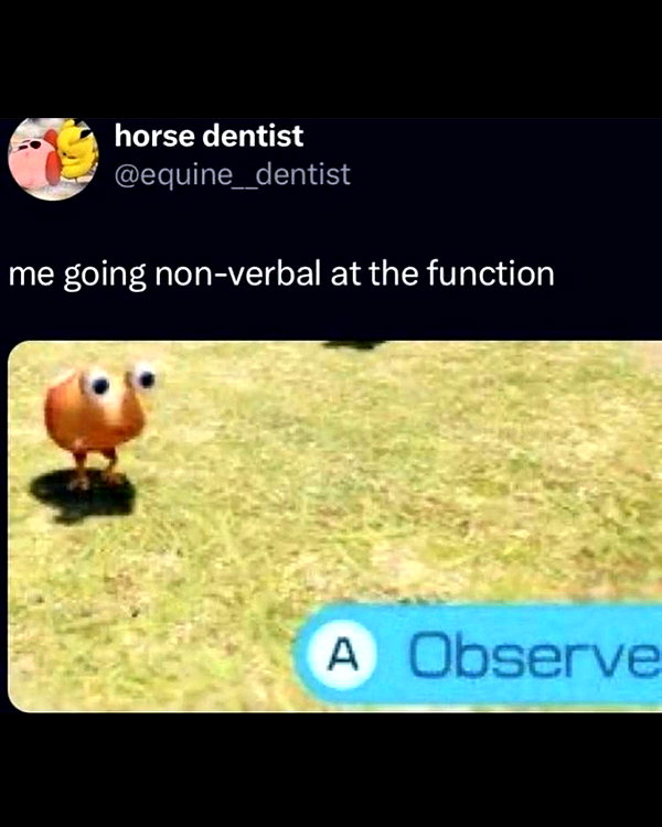 leanbeefpatty instagram image archive image