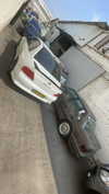 eitan.420 Altpins Profile Picture