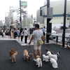 djbabysosh Altpins Profile Picture