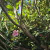 avital_1010.2003 Altpins Profile Picture
