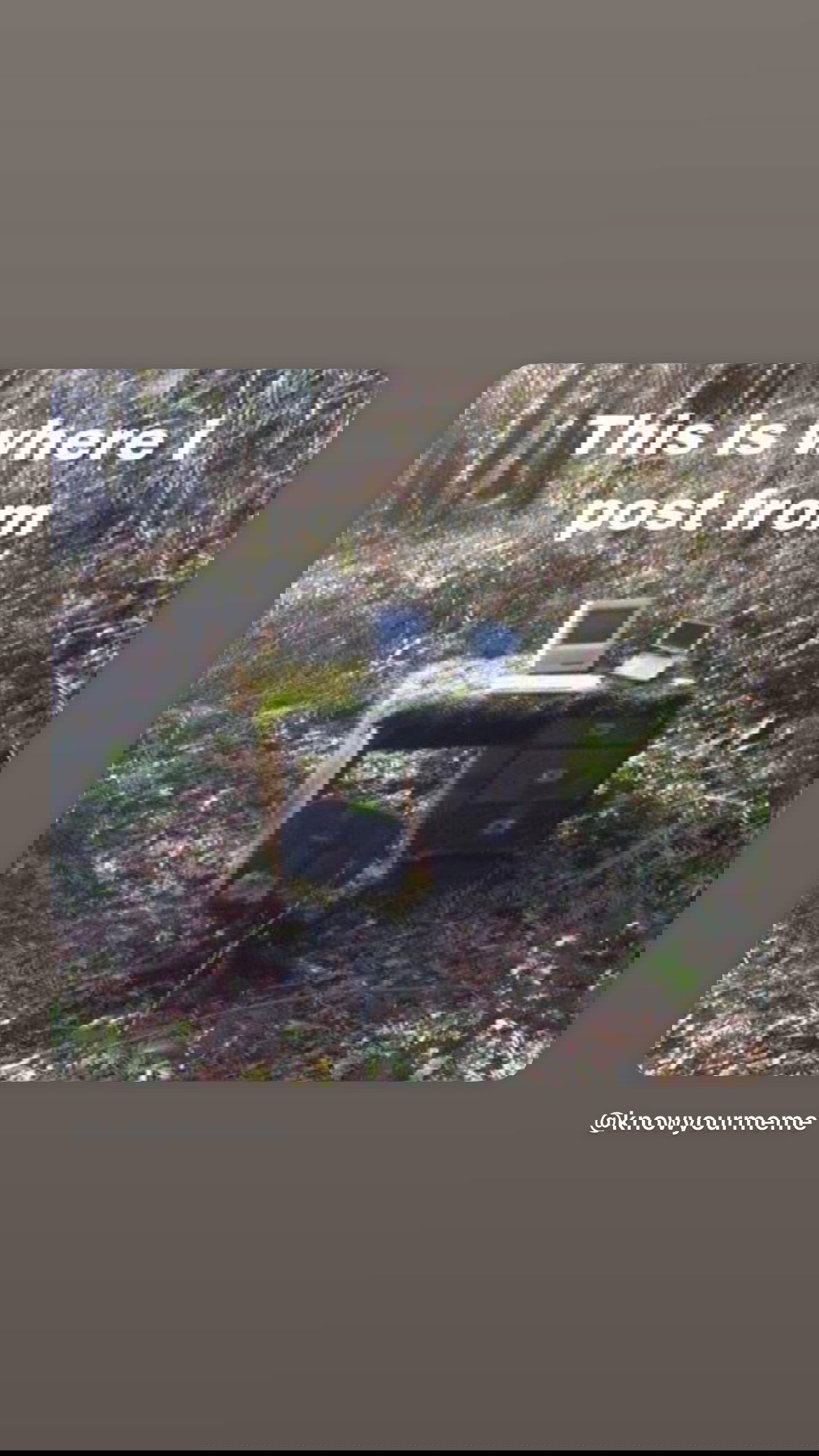 efrat_elmalich instagram image archive image