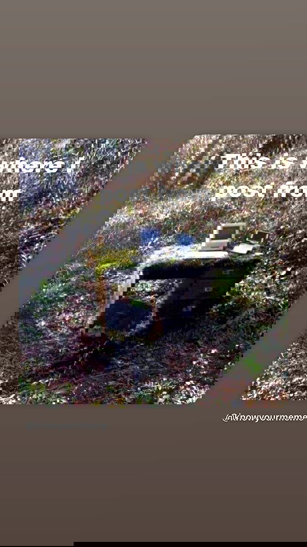 efrat_elmalich image ~ Altpins