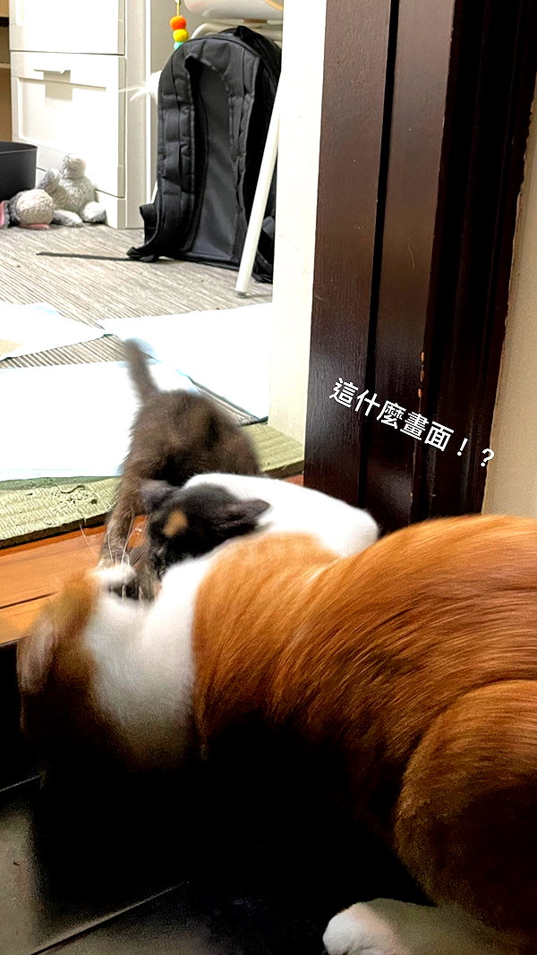 jiw_____n instagram image archive image