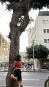 eva.6stuma.com6 Altpins Profile Picture