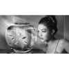 gigihadid Altpins Profile Picture