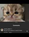 leanbeefpatty Altpins Profile Picture