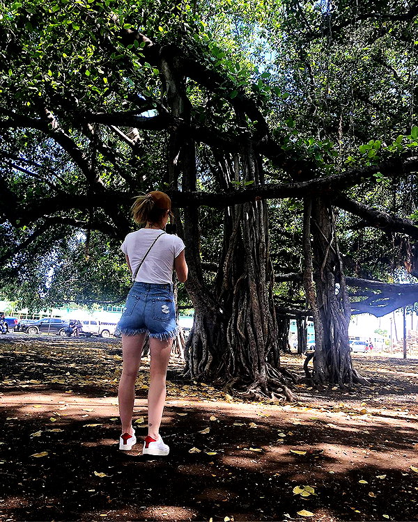 lucyhale instagram image archive image