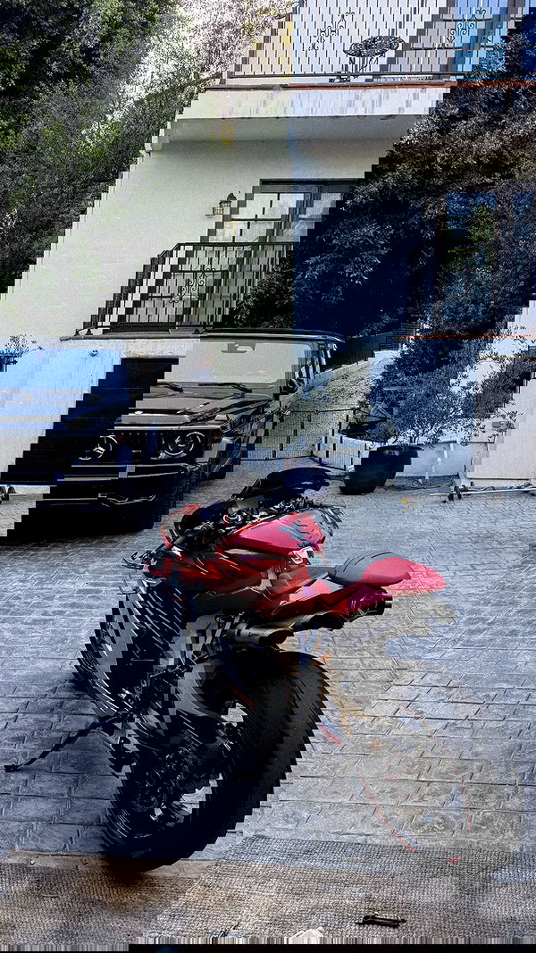 carolinezalog carolinezalog archive image