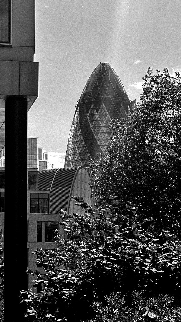 liashaked liashaked archive image