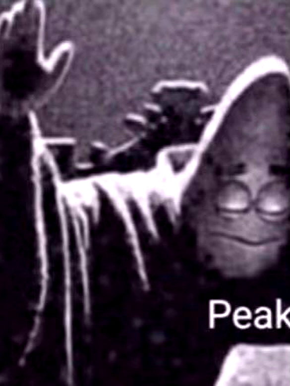 milkibunshehe instagram image archive image