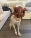 gabbyepstein Altpins Profile Picture
