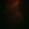 shayli_or Altpins Profile Picture