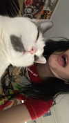 livindeadyaz Altpins Profile Picture