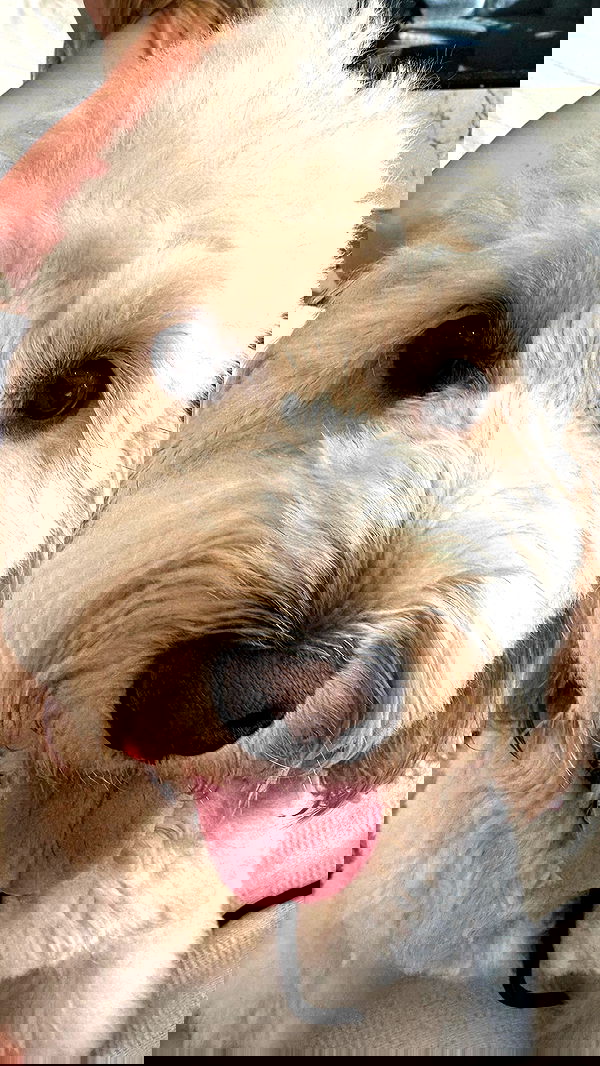 taylor.creeden taylor.creeden archive image