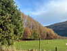 daisy_r_19 Altpins Profile Picture