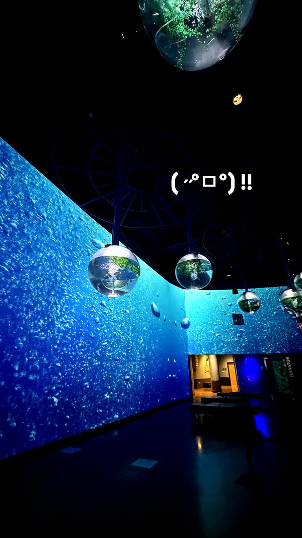 cacawaterslushy instagram image archive image