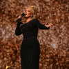 adele Altpins Profile Picture