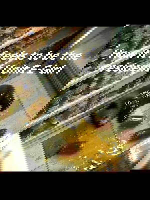 haylujan haylujan archive image