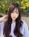 lai_931201 Altpins Profile Picture