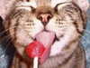 mikaelakatrina Altpins Profile Picture