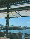 shira_adar_ Altpins Profile Picture