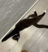 katrina.zaiceva Altpins Profile Picture