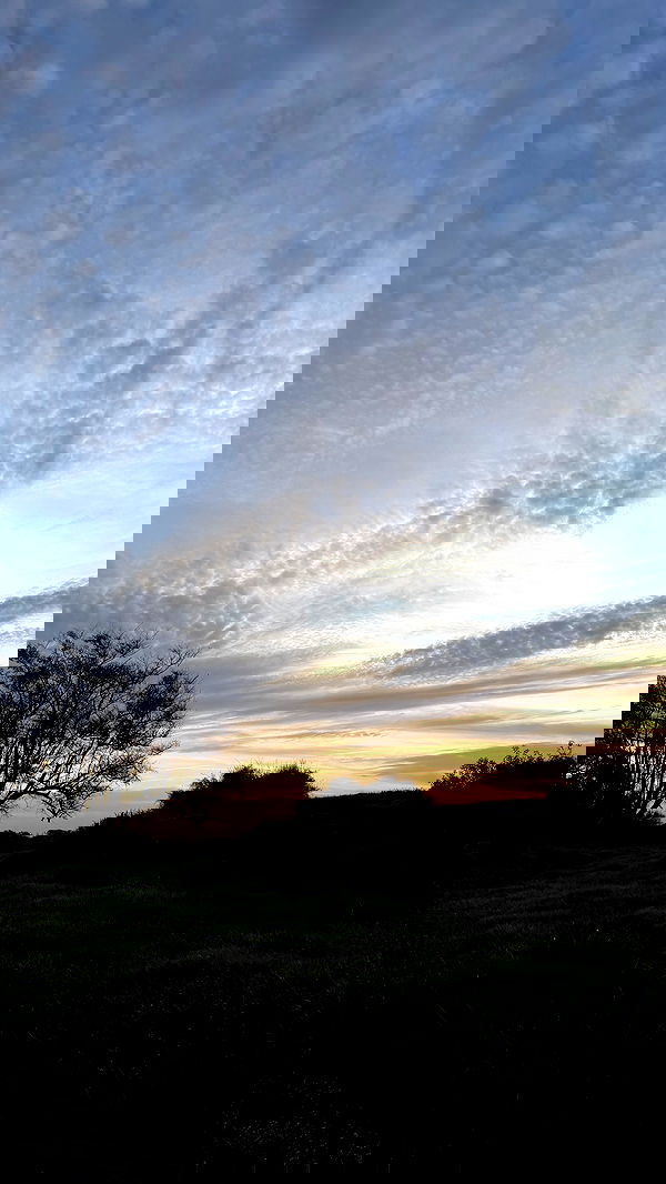 efrat_elmalich efrat_elmalich archive image