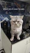 yuri.gever Altpins Profile Picture