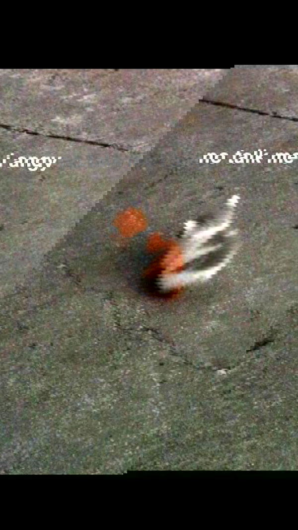 cata.leyah image ~ Altpins