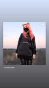 blursed.co Altpins Profile Picture