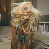 xtina Altpins Profile Picture