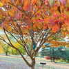 gigihadid Altpins Profile Picture