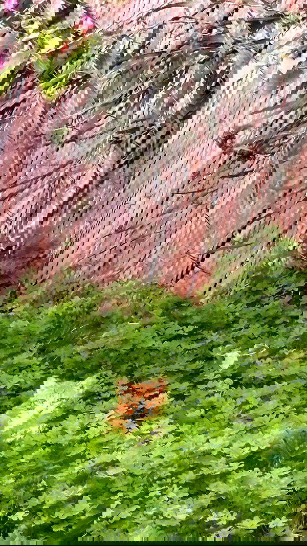 laluzone laluzone archive image