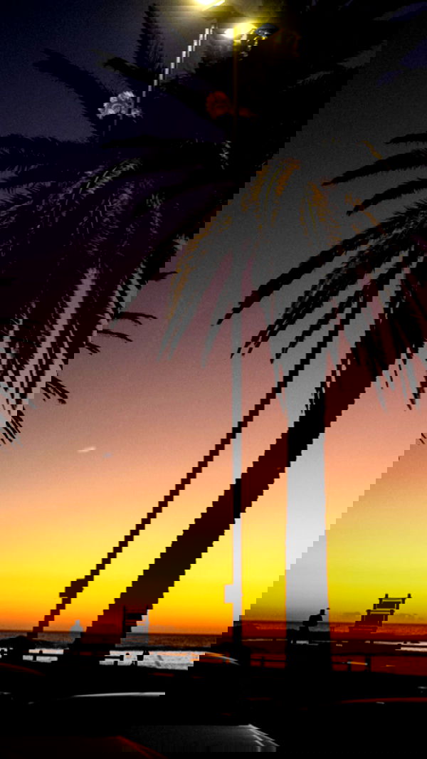 alexis.blond alexis.blond archive image