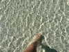 kyliejenner Altpins Profile Picture